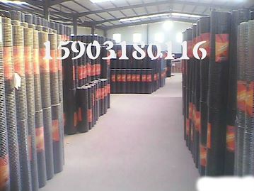 1/2出口外貿(mào)標準鍍鋅浸塑PVC電焊網(wǎng)